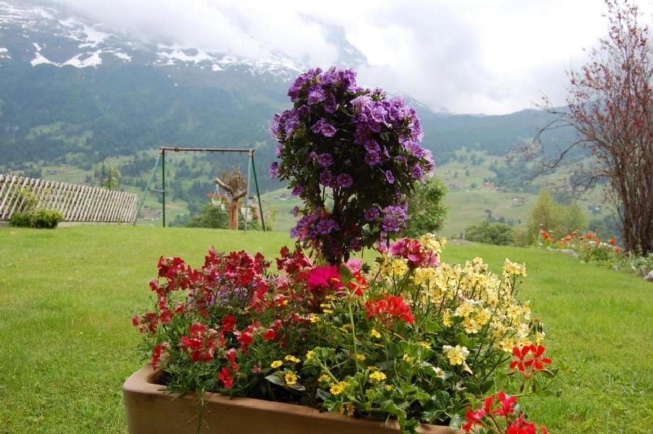 Chalet Burgstein, Studio Alpenrose Grindelwald