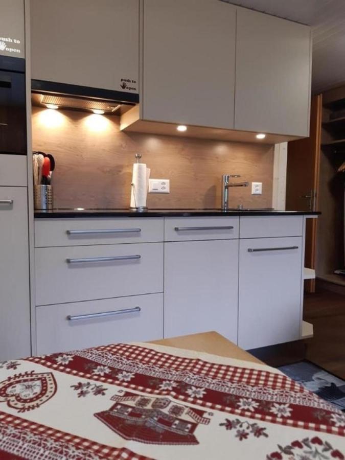 Apartment Chalet Burgstein, Studio Alpenrose Grindelwald